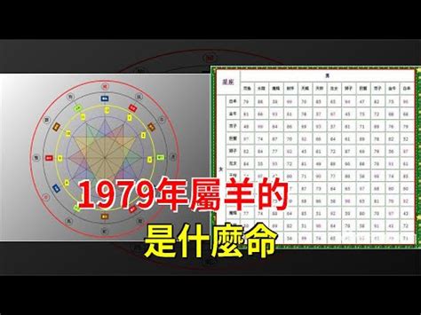 1979五行|1979年五行属什么？1979年出生是什么命？